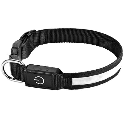 LED Dog Collar