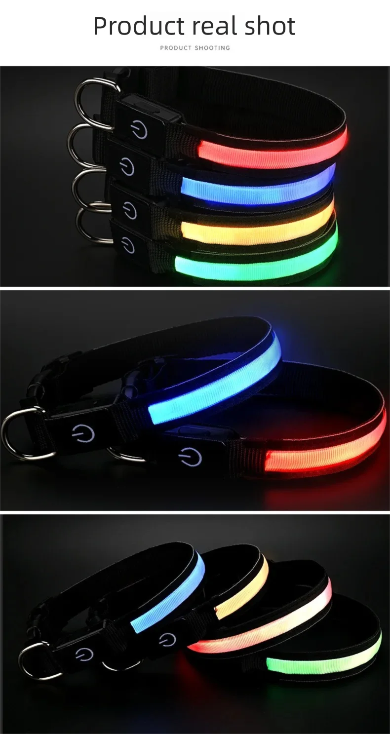 LED Dog Collar
