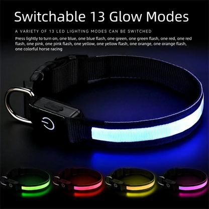 LED Dog Collar