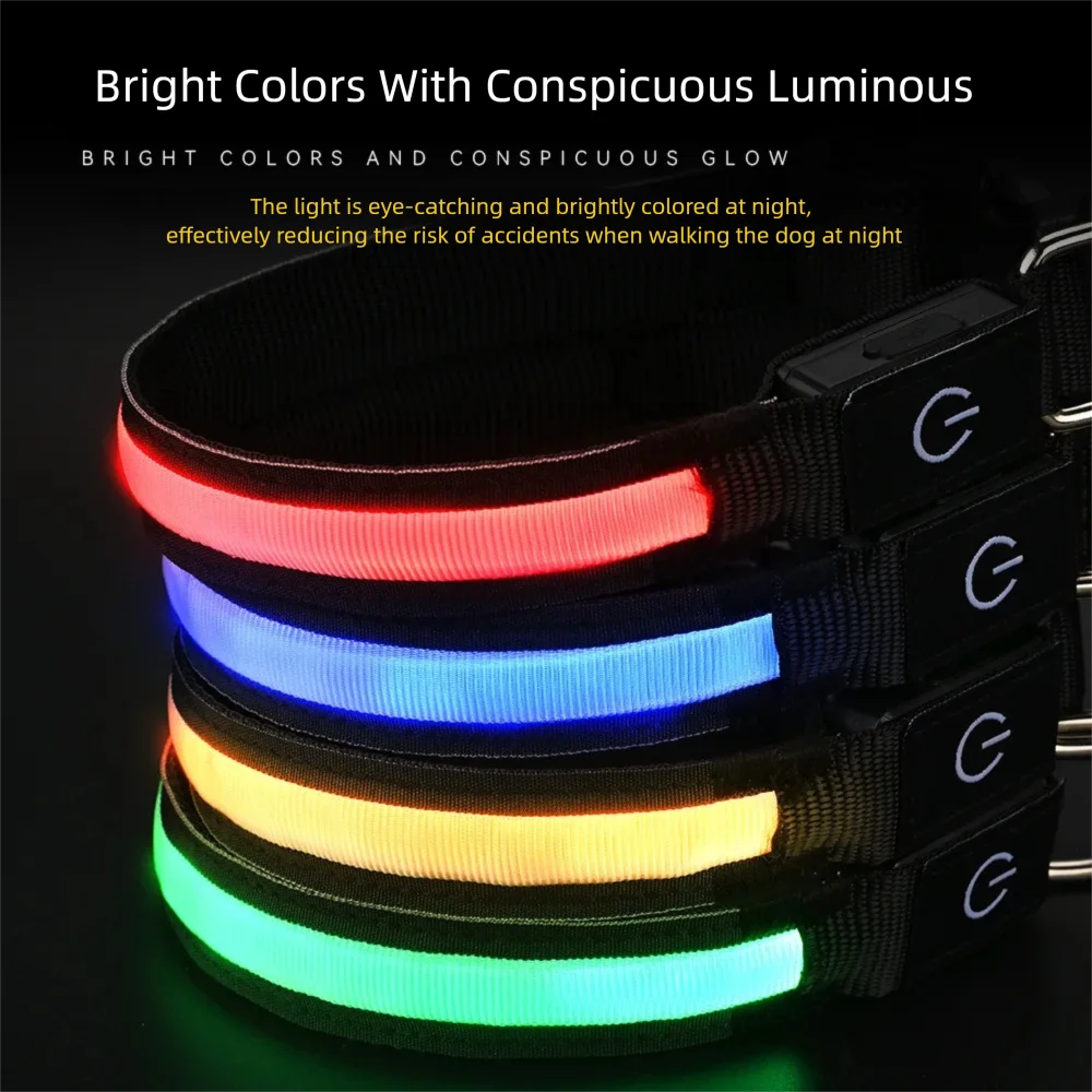 LED Dog Collar
