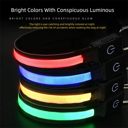 LED Dog Collar