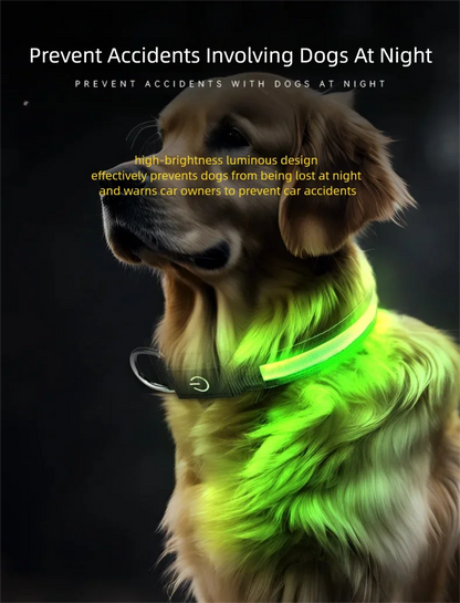 LED Dog Collar