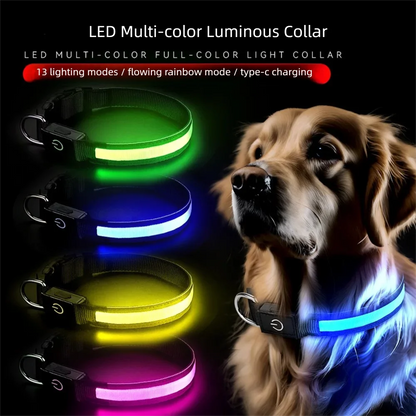 LED Dog Collar